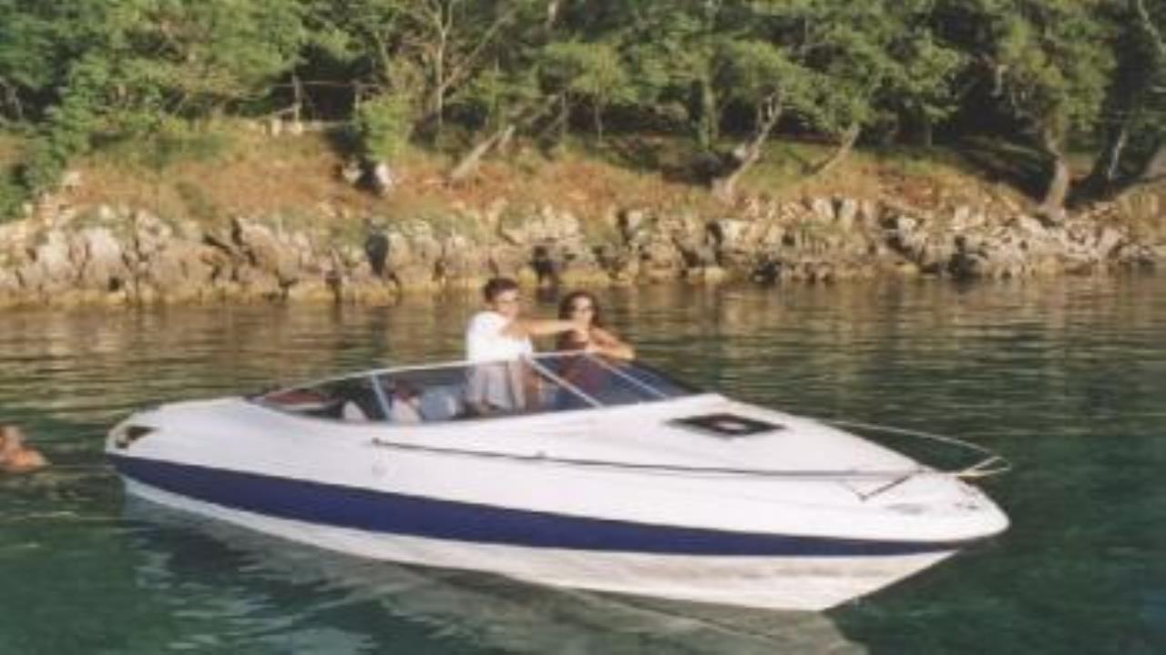 motorboote viper 203